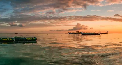 极光新闻(新闻政务通) 极光新闻(新闻政务通)