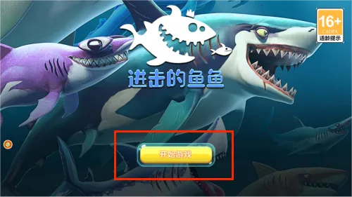 ����������2025���°汾