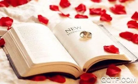 Ƭ��2025�ٷ����°汾