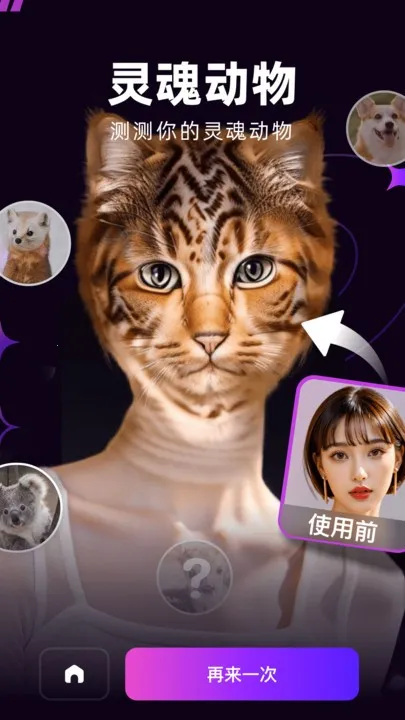 �ݸ�2025���°汾v1.1.8 ��׿���ͼ