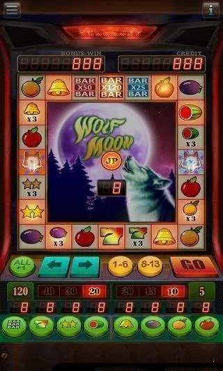 ����˫������2025�ٷ�����