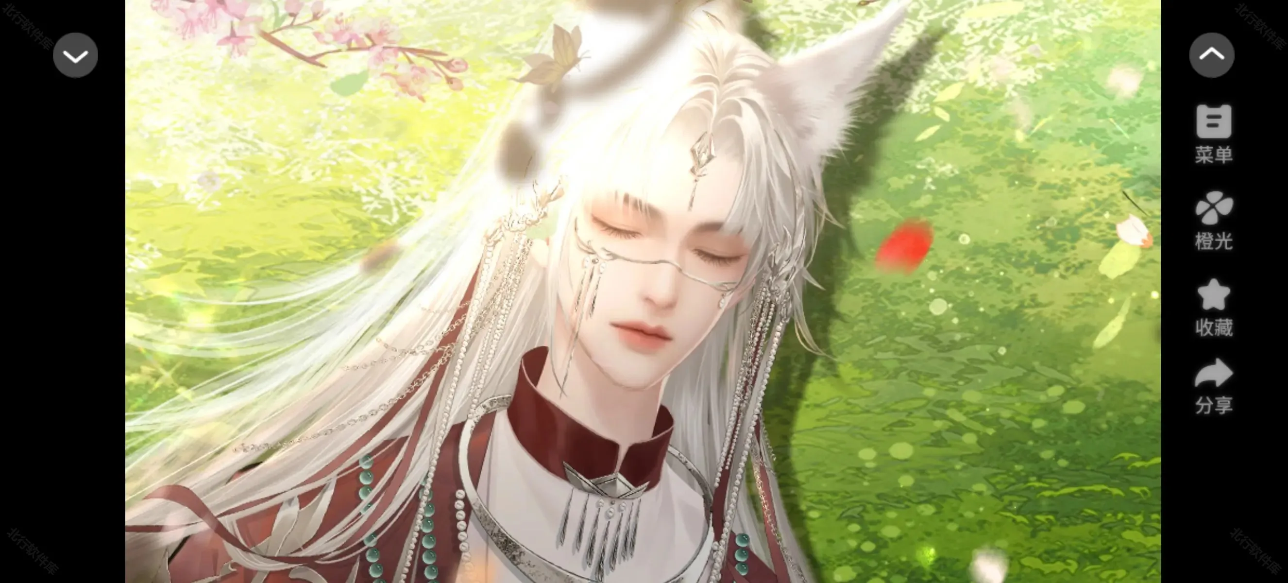 ����ԩ��ʵ¼(����������Ϸ)