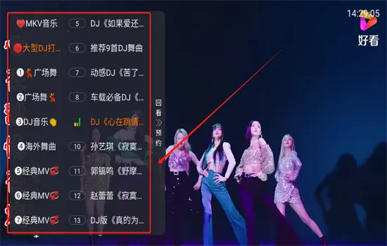 MKV����(�������ֲ���)