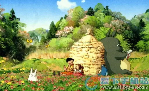 �ʺ�èPRO�����ֻ���