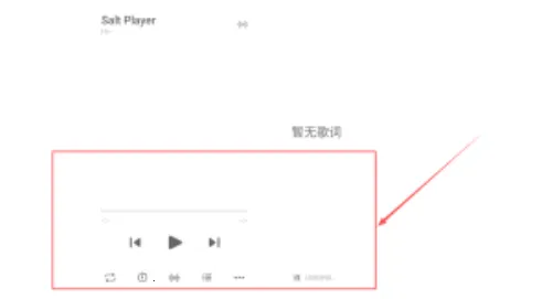 椒盐音乐(本地音乐播放器) 椒盐音乐(本地音乐播放器)