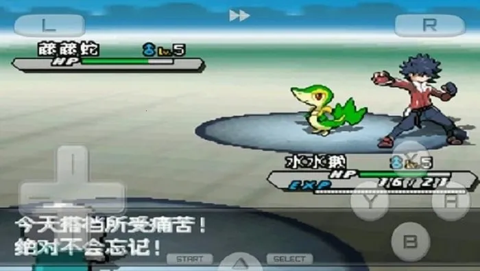 口袋妖怪白22025下载安装 口袋妖怪白22025下载安装