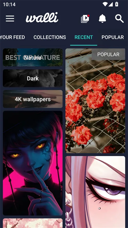 walli��ֽ(��ֽӦ�ó���)v2.12.82 �ֻ����ͼ