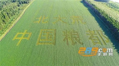 ���ֱ���İ�׿���ֻ���