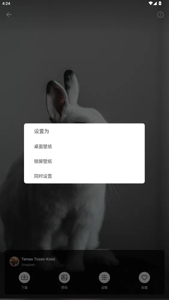 美妙壁纸馆2025官方最新版本 美妙壁纸馆2025官方最新版本