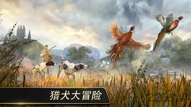 ��¹��2025���°汾v3.14.0 �ֻ����ͼ