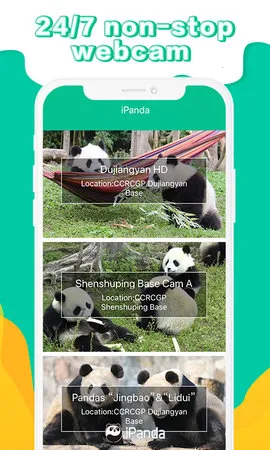 iPanda(��è��Ѷƽ̨)v1.1.5 �ٷ������ͼ