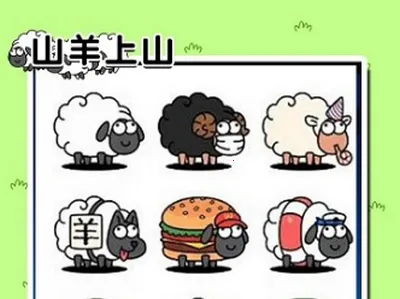 ɽ����ɽ��׿���ֻ���