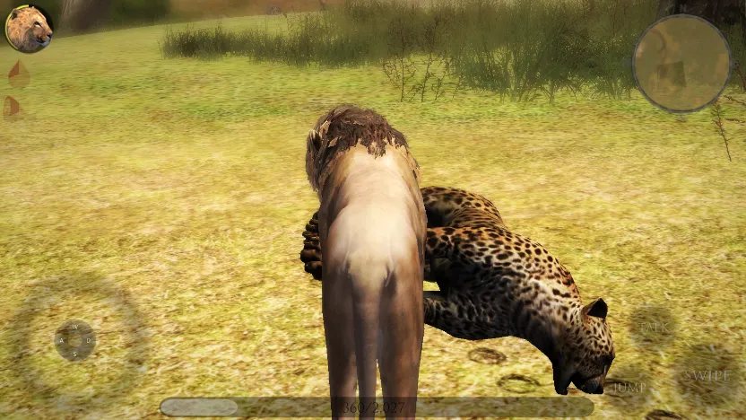 �ռ�ʨ��ģ����22025���°汾v3.0 �ٷ������ͼ