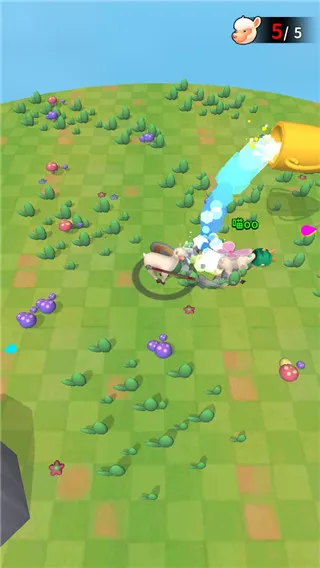 ���������2025���°汾