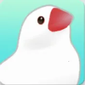 ��������(����������Ϸ)v1.1 �ֻ���