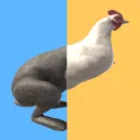 ��������2025�ٷ����°汾v1.5.8 �ֻ���