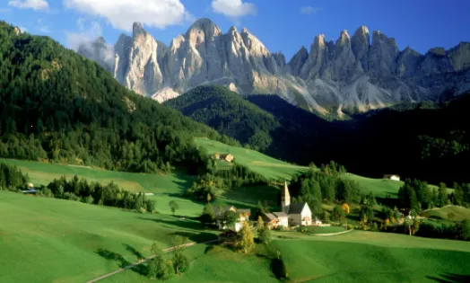 触感壁纸(手机美化软件) 触感壁纸(手机美化软件)