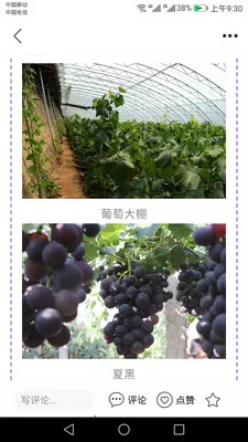 ���ƻ�����׿���ֻ���v1.6.1 �ֻ����ͼ