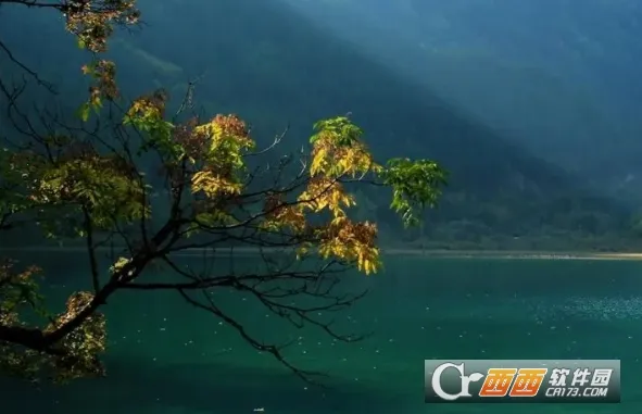 壁画小店(壁纸头像表情包平台) 壁画小店(壁纸头像表情包平台)