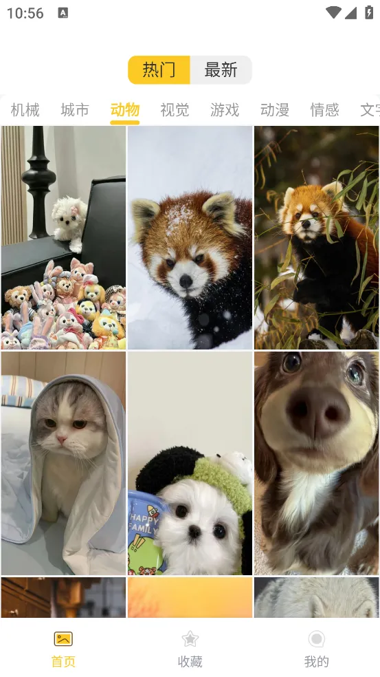 �Ŷ���Ԫ��ֽ2026�ٷ����°汾v4.2.6 �ֻ����ͼ