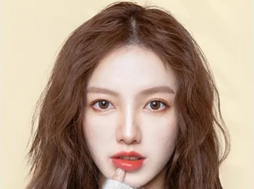 �����������2026���°汾