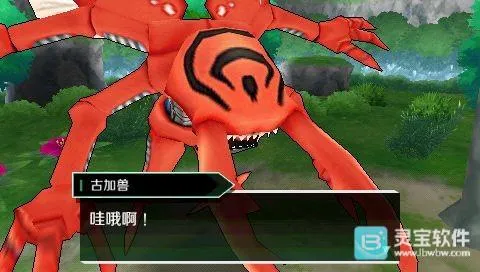 ���뱦����ð������