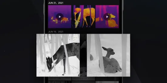 ΢Ӱ���������ֻ���