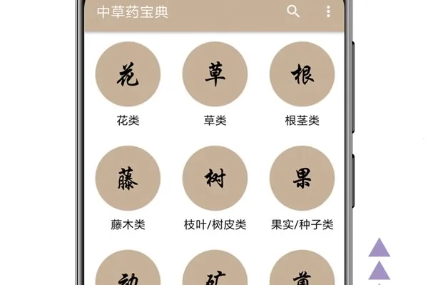 �в�ҩ����