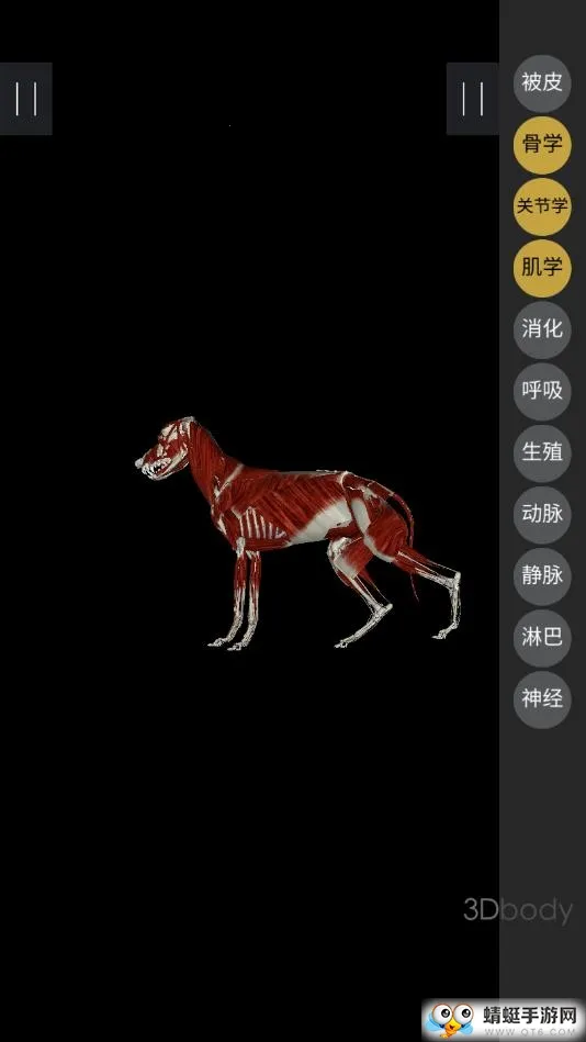 3Dbody����2026���°汾v8.8.72 ��Ѱ��ͼ