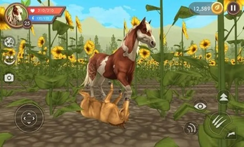 WildCraft2026���ذ�װv36.1_powervr �ֻ����ͼ