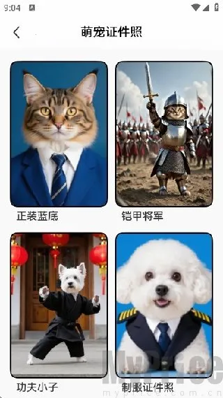 宠历最新手机版 宠历最新手机版