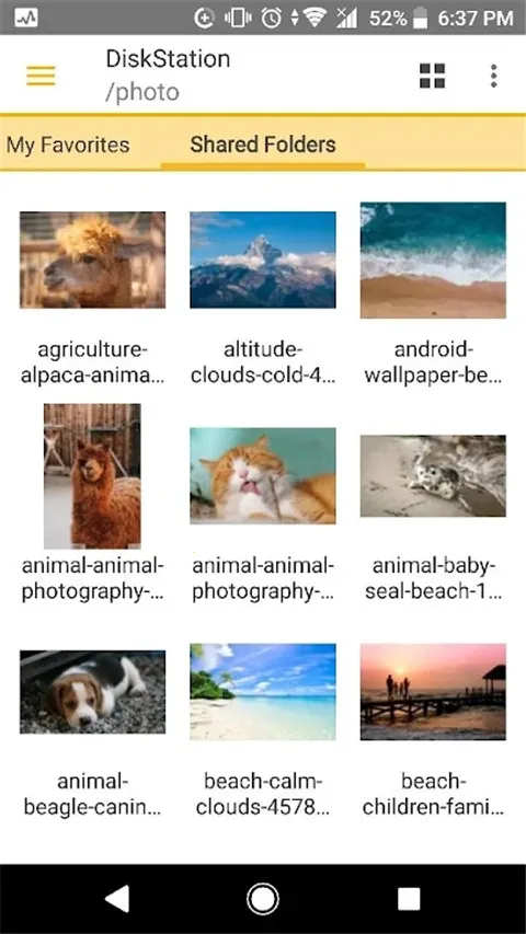 DSfile2026���ذ�װv4.17.2 ��Ѱ��ͼ