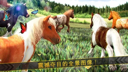 �����п�v1.1.2 �ֻ����ͼ