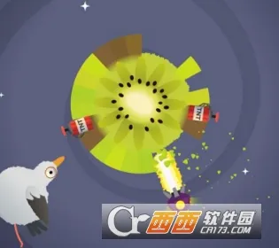 疯狂的鸽子 疯狂的鸽子