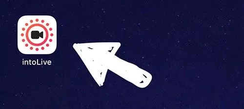 intoLive����������