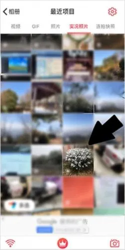 intolive动态壁纸制作app intolive动态壁纸制作app