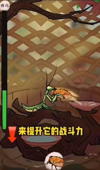 极品螳螂破解内置菜单版 极品螳螂破解内置菜单版