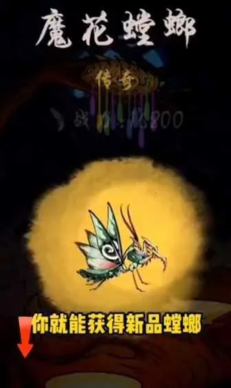 极品螳螂破解内置菜单版 极品螳螂破解内置菜单版