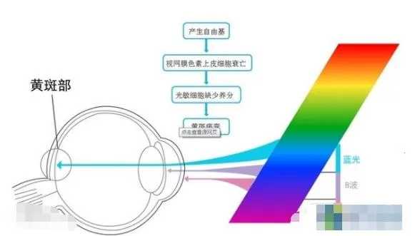 ��ɫ�Ⲩ�����������ֻ���