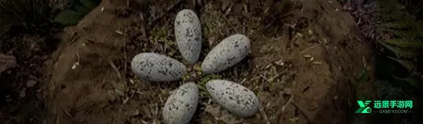 恐龙岛生存进化 恐龙岛生存进化