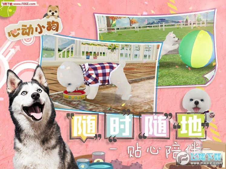 �Ķ�С��2026�ٷ����°汾v1.1.0 ��Ѱ��ͼ