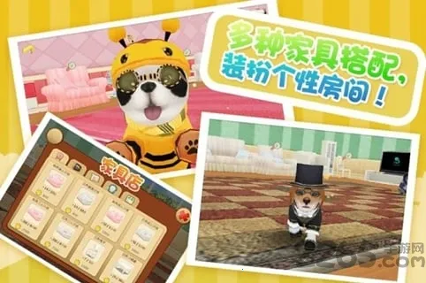 �Ķ�С��2026�ٷ����°汾v1.1.0 ��Ѱ��ͼ