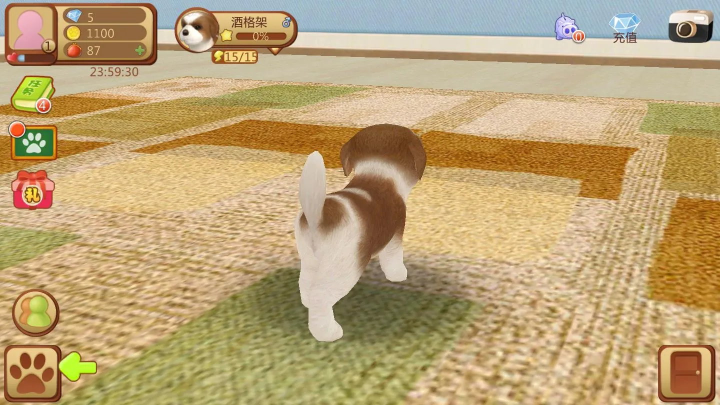 �Ķ�С��2026�ٷ����°汾v1.1.0 ��Ѱ��ͼ