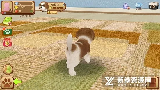 �Ķ�С��2026�ٷ����°汾