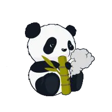 С��è������2026���°汾v1 ��׿��