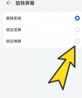 BoBo�����ȫ��ͨ2026�ٷ�����