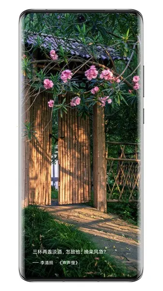 ʫ��֮��2026���ذ�װv3.0.8 ��Ѱ��ͼ