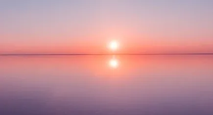 �������2026���°汾