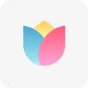 С����������2026�ٷ����°汾v3.15.3 ��׿��