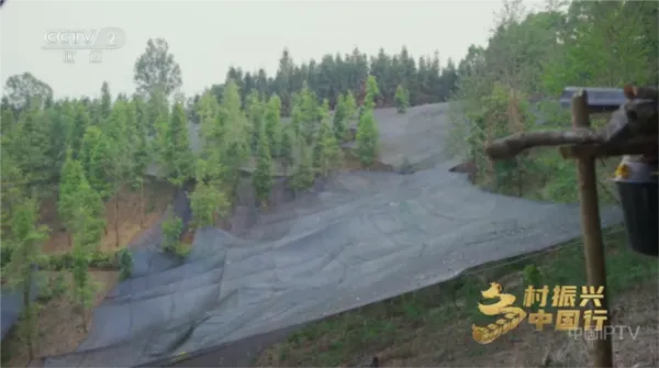 ����Ӱ��TV���������ֻ���